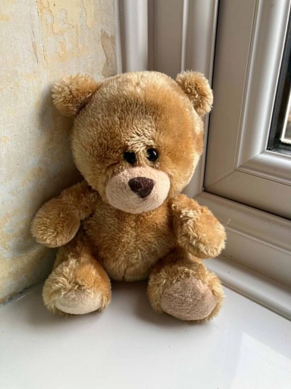 Bear #38