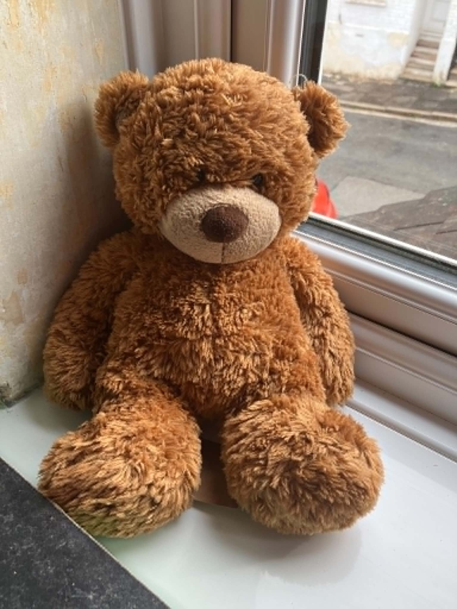 Bear #4
