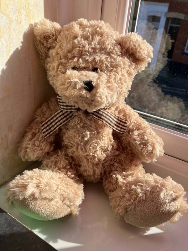 Bear #41