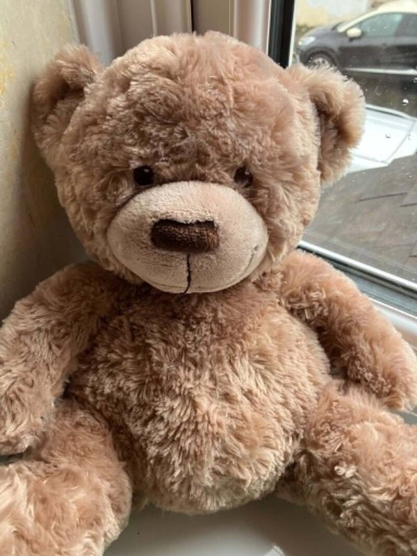 Bear #42