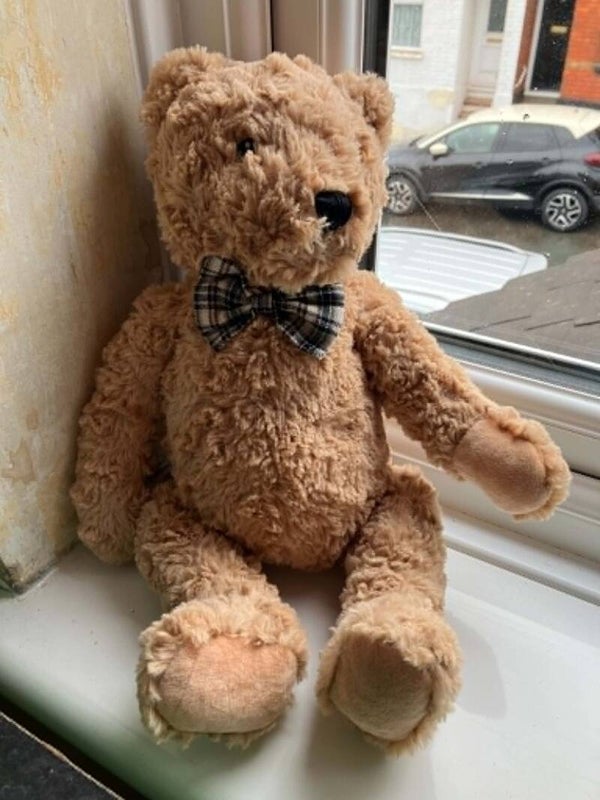 Bear #43