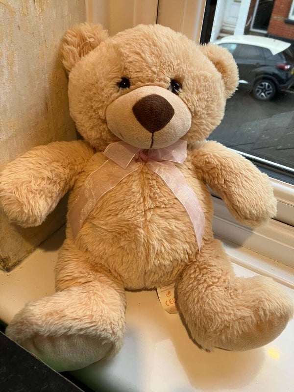 Bear #46