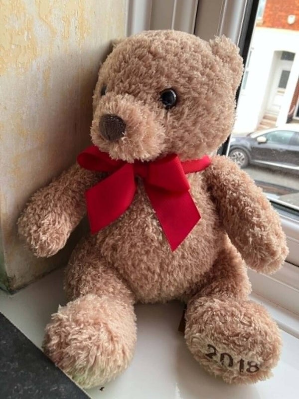 Bear #5