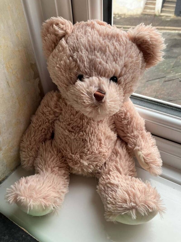 Bear #6