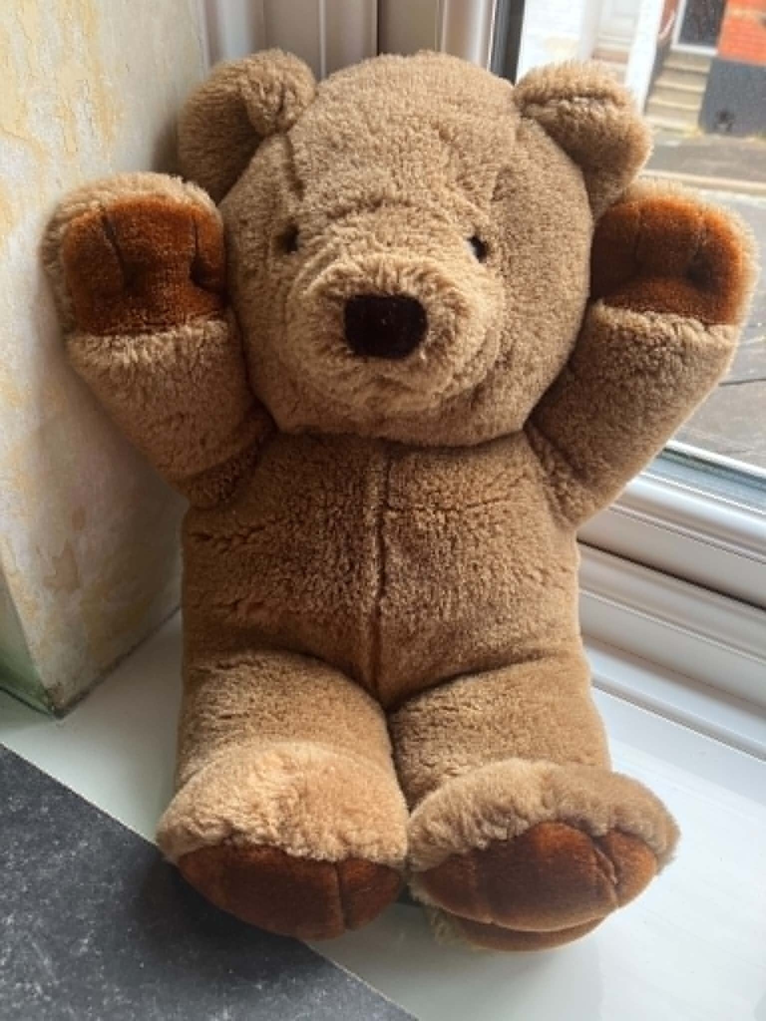 Bear #7