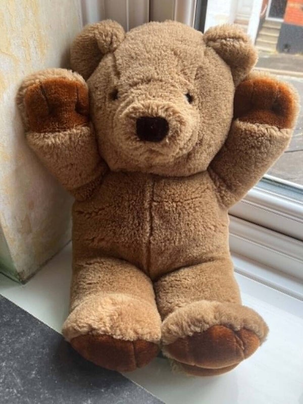 Bear #7