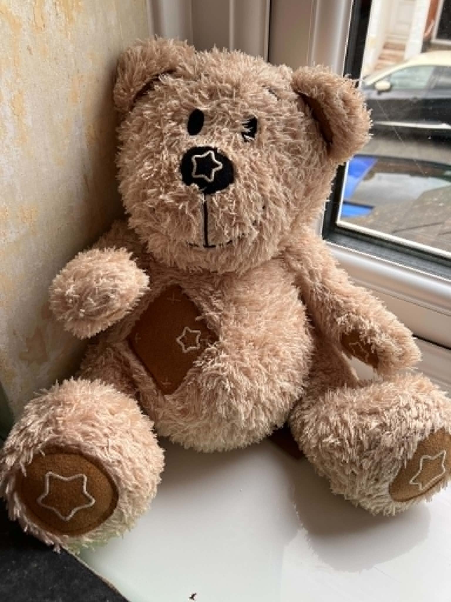 Bear #8