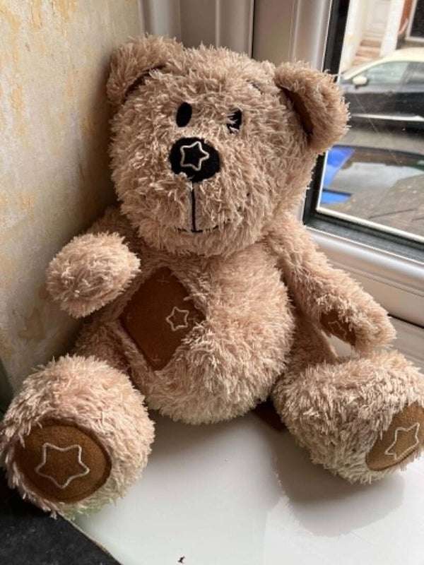 Bear #8