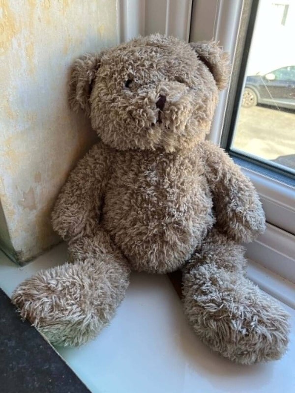 Bear #9
