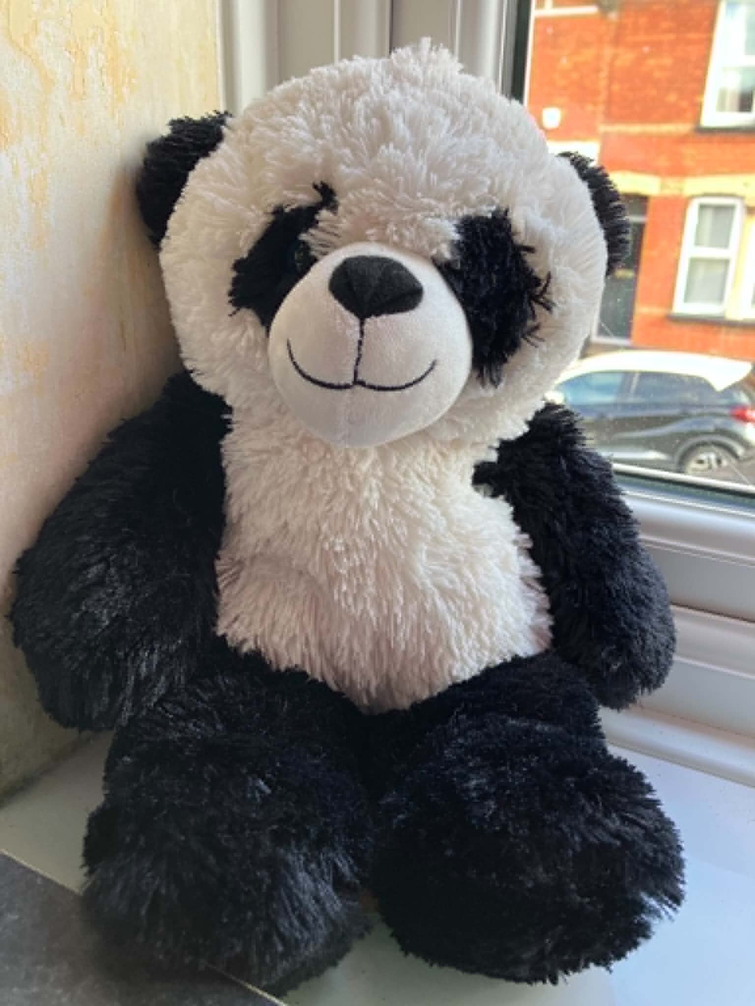 Panda #14
