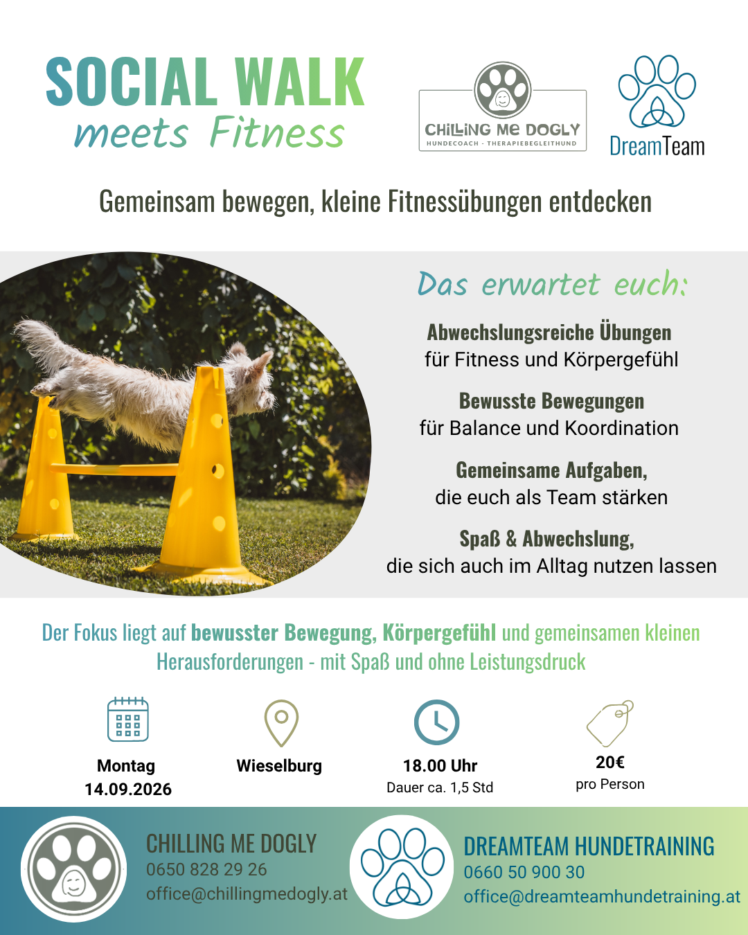 Social Walk Hundebegegnungen