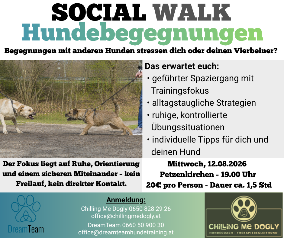 Social Walk Hundebegegnungen