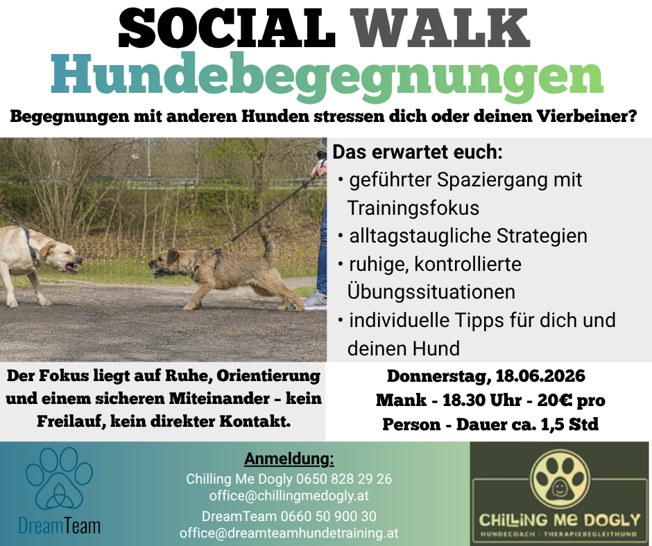 Social Walk Hundebegegnungen