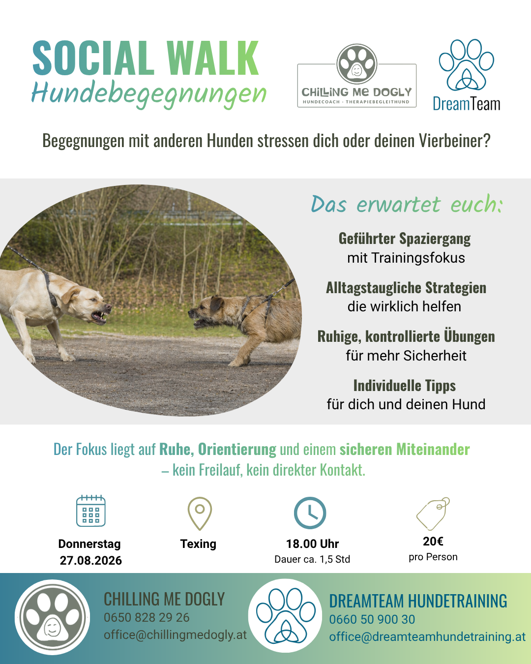 Social Walk Hundebegegnungen
