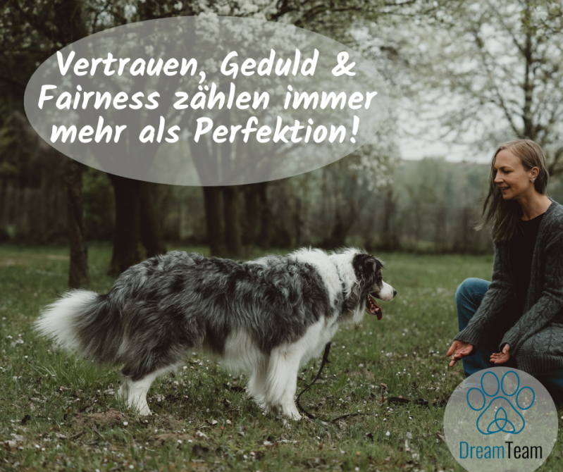 Timo, Ines, Border Collie, Vertrauen, Geduld, Fairness - Hundeschule Dreamteam Hundetraining