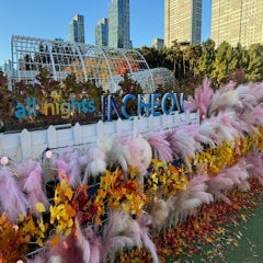 img_7243-standard.jpg