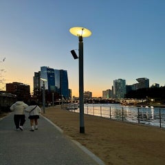 img_7404-standard.jpg