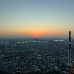 img_8739-standard.jpg