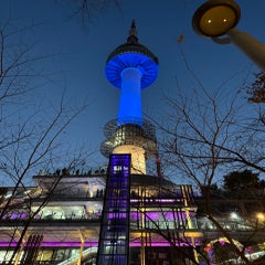 img_8772-standard.jpg