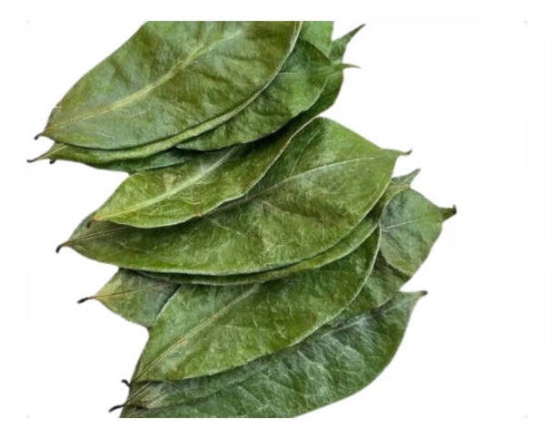 Soursop Leaves