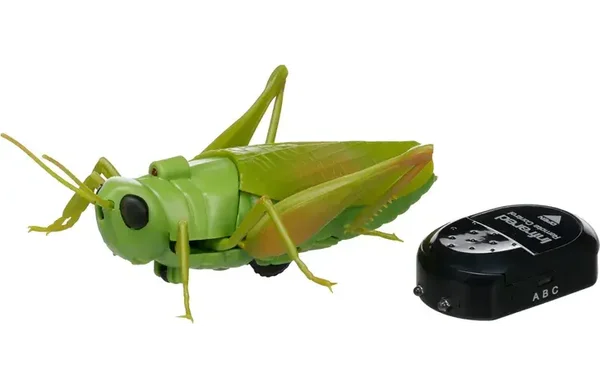 Speelgoed Crawla Sprinkhaan