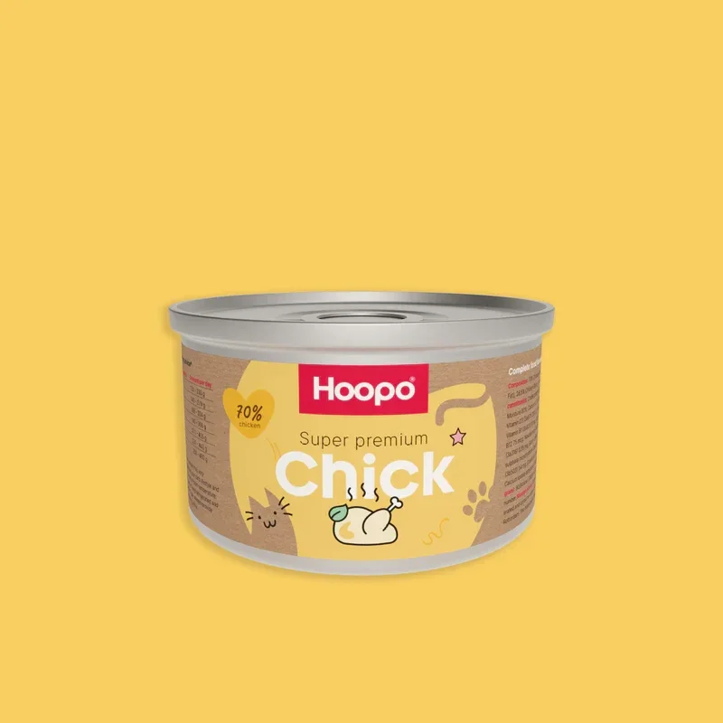 Hoopo - Chick Pate