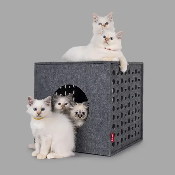 Hoopo - Cube