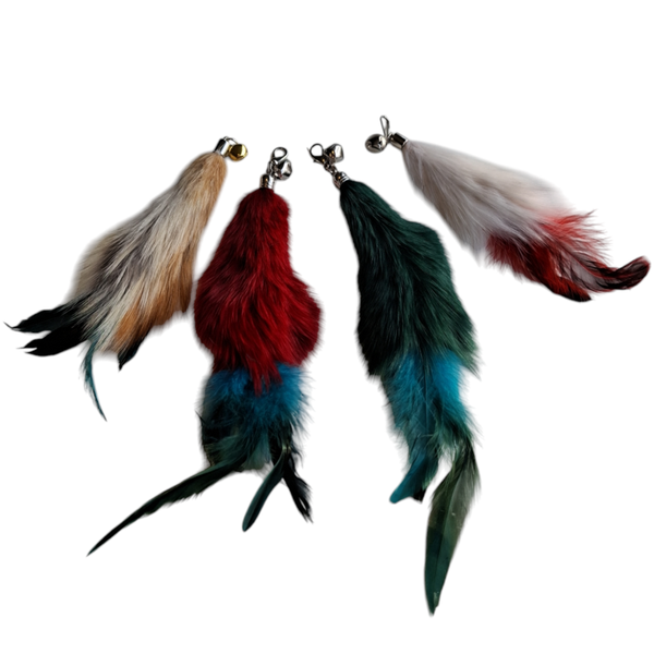 Grote veren voor aan de teaser