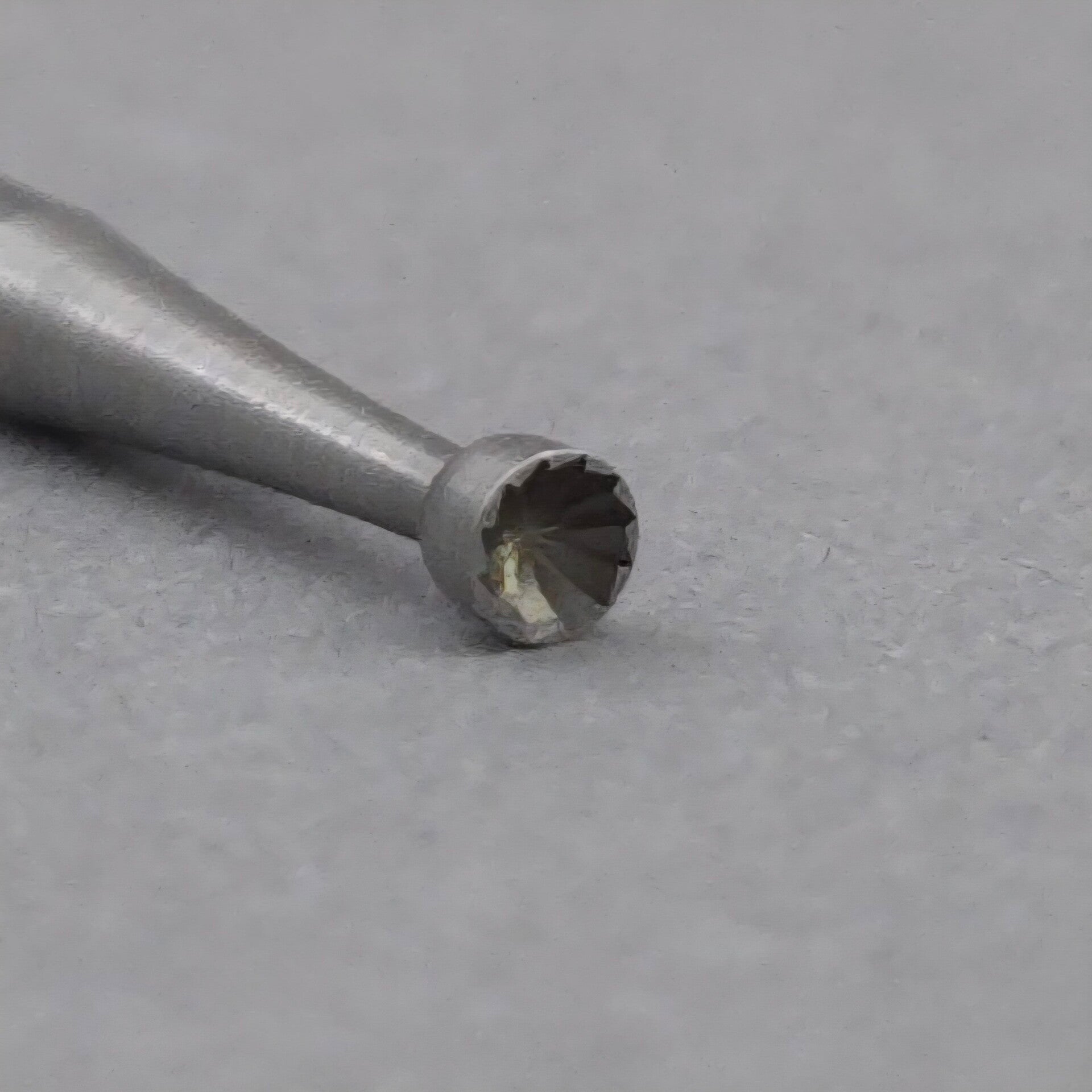 Holfrees Busch (Z00069)