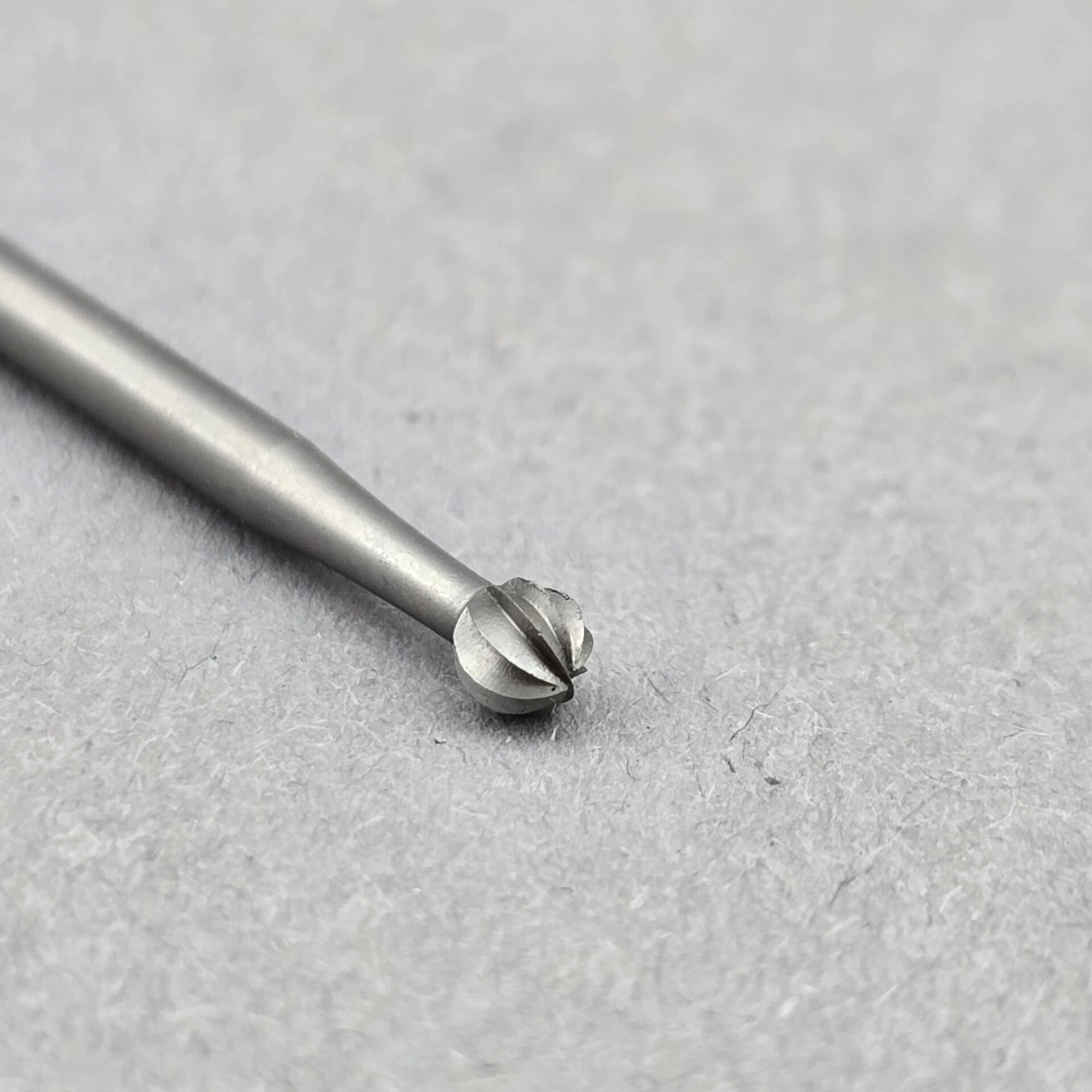 Bolfrees Busch (Z00070)