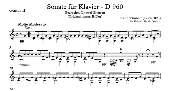 Franz Schubert Sonata D. 960 1st movement for Classical Guitar Duo PARTS - Fernando Riscado Cordas 2013