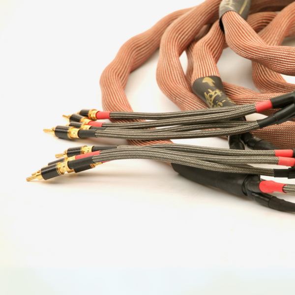 Roboli HP 9100 Bi-Wire Series 2