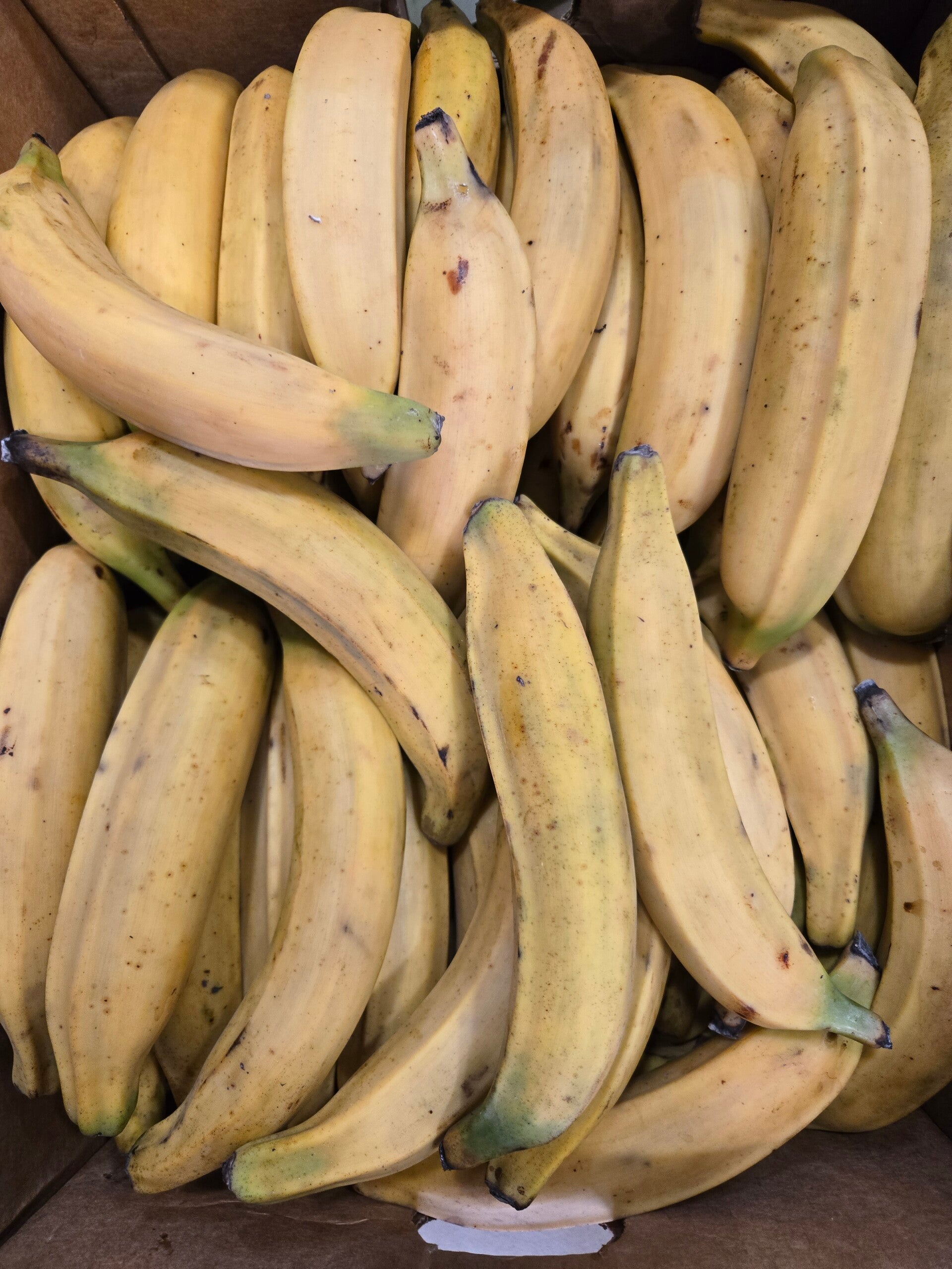 Plátano macho maduro 