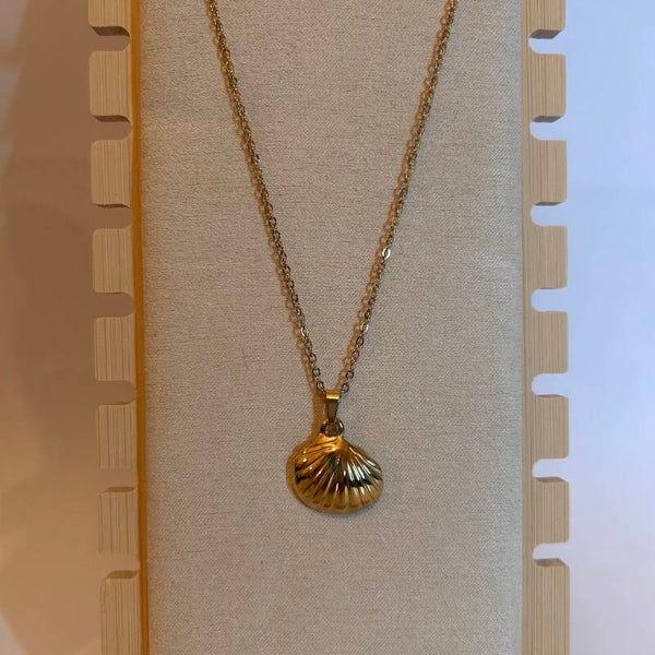 Seashell ketting