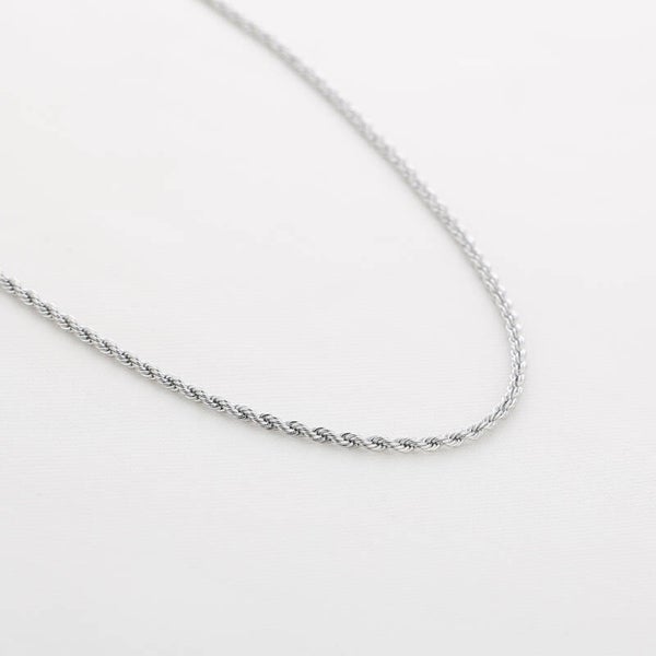Stainless Steel Ketting Gedraaid Silver