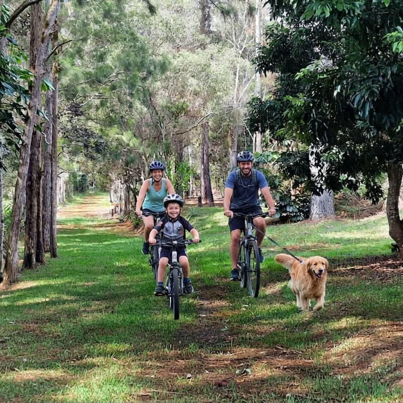 Explorez le domaine en Vélo ( les vélos ne sont pas fournis)