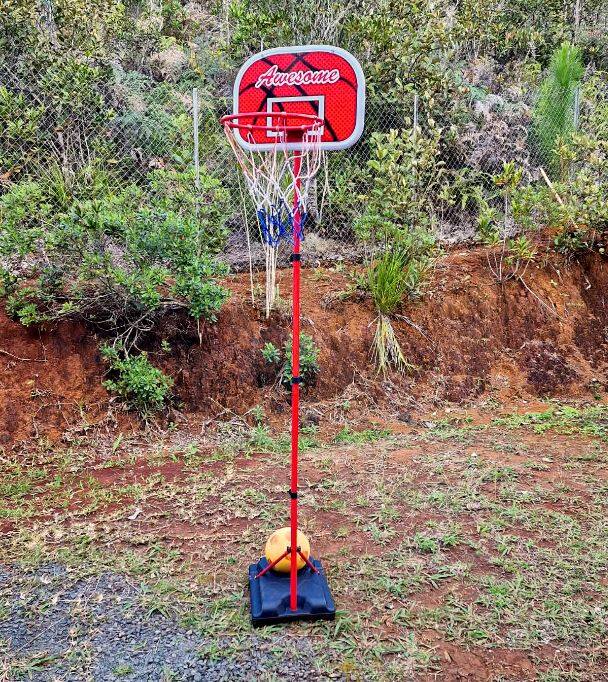 Panier de basket pour les petits et les grands