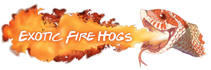 Exotic Fire Hogs