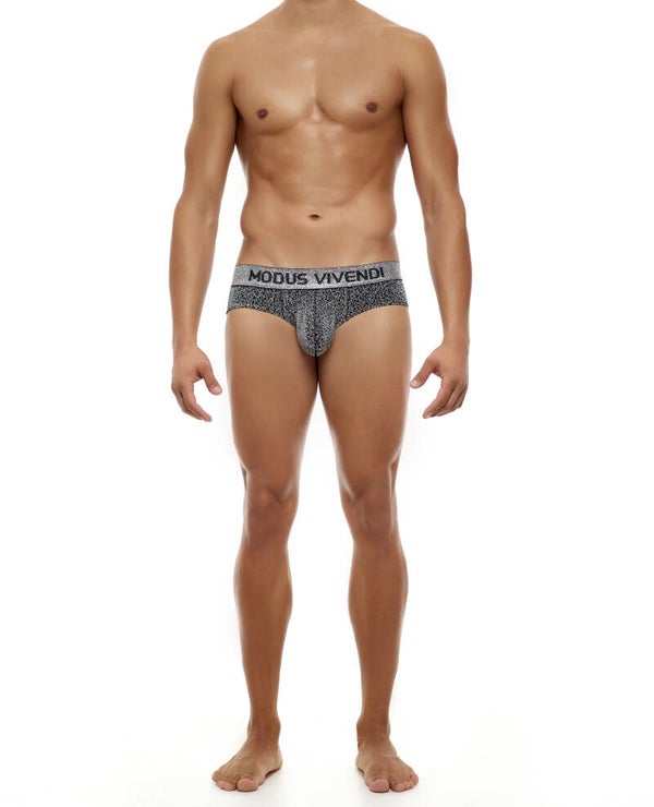 Modus Vivendi - Shimmer Brief