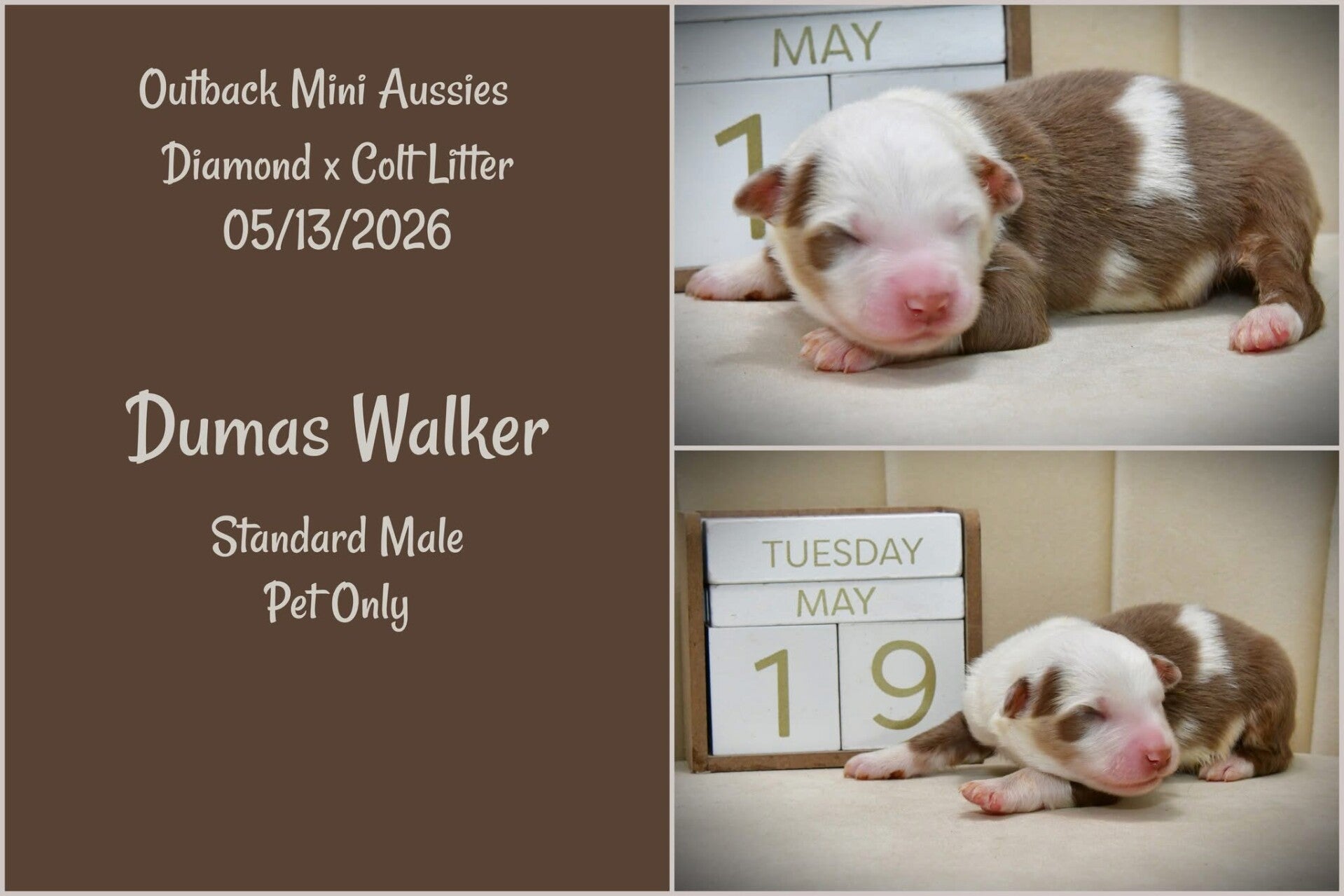 Male- 1600.00