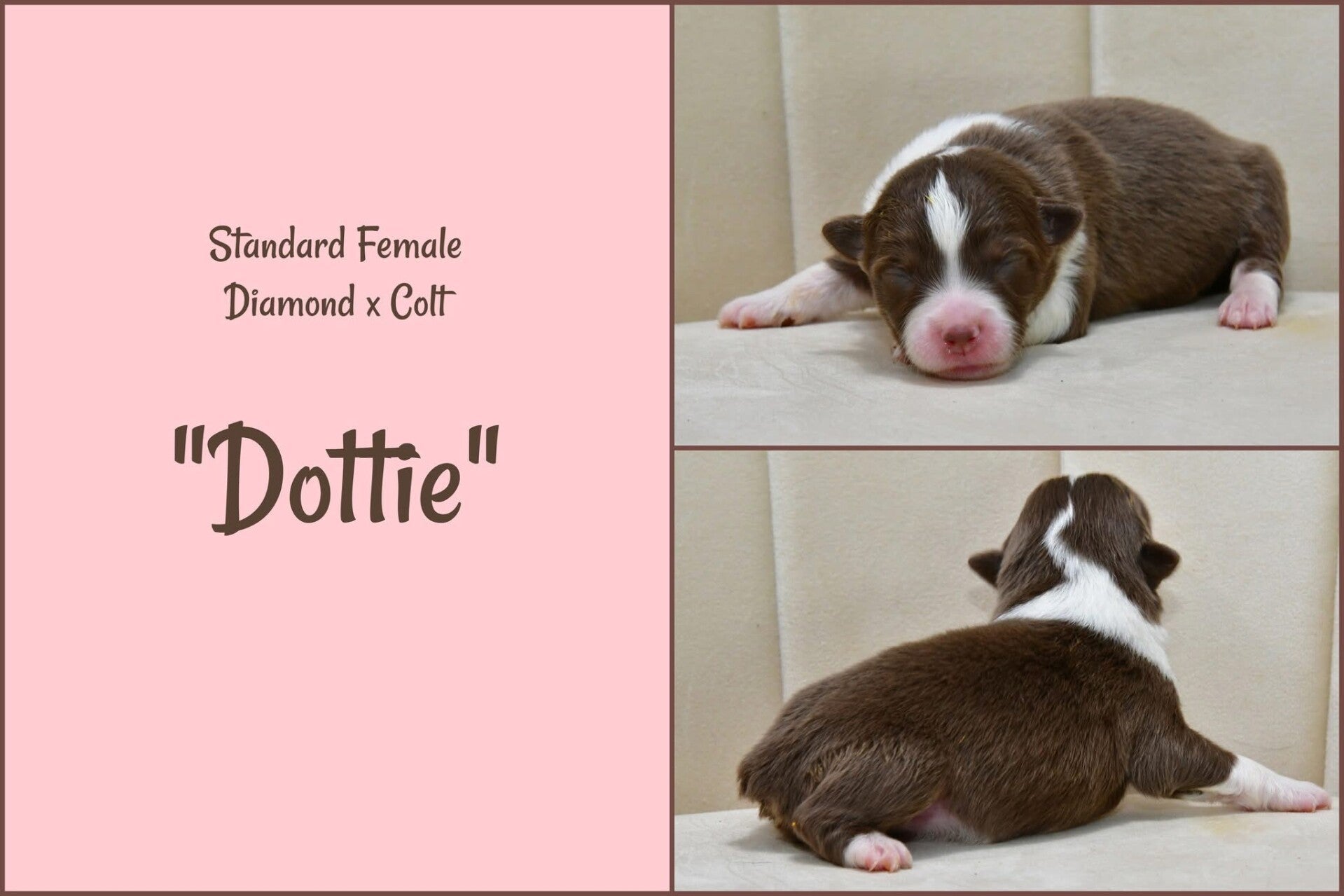 Female- $1500.00
