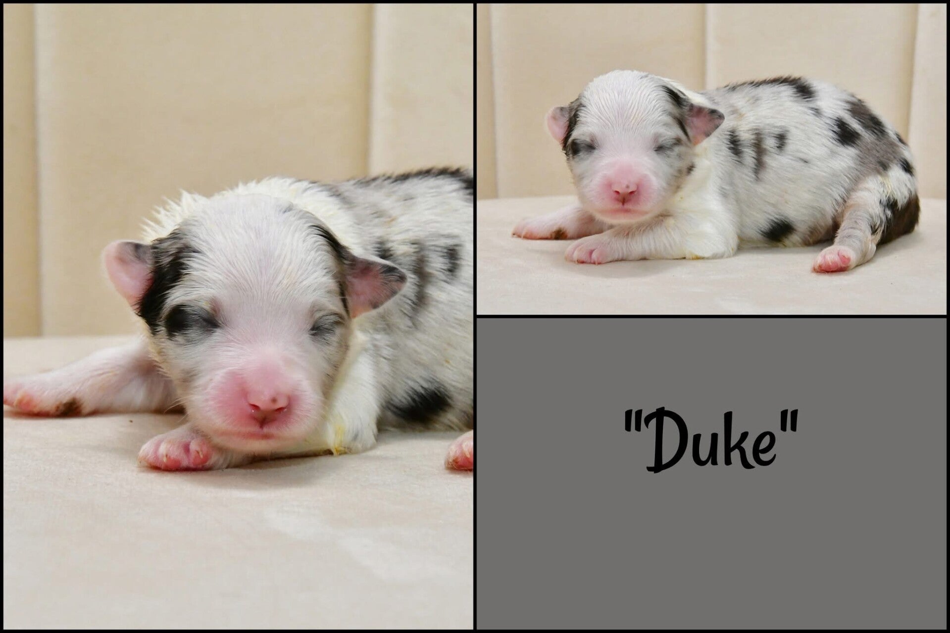 Male- $2200.00
