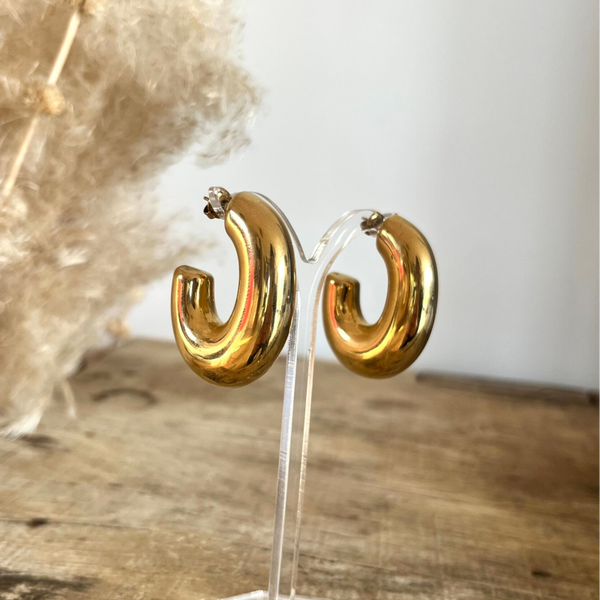 Boucles d'oreilles "Eglantine"