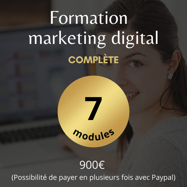 Marketing digital (formation complète)