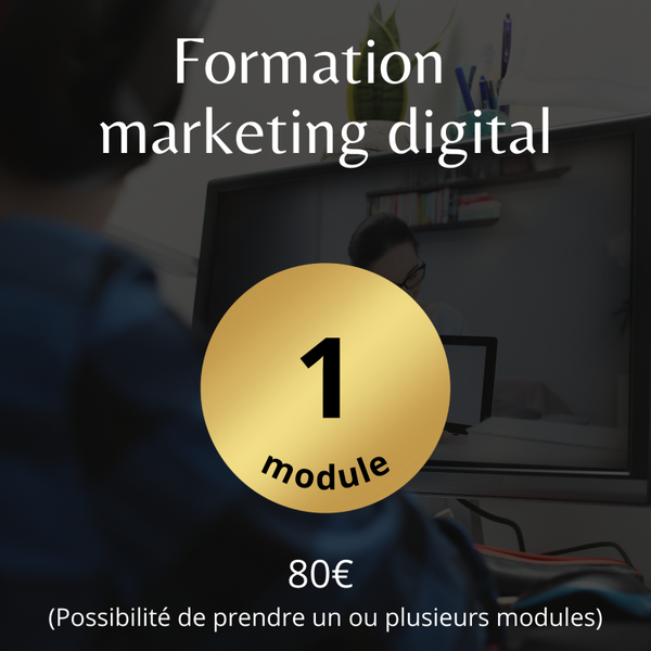 Marketing digital (formation 1 module)