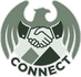 AMERICAN EAGLE CONNECT