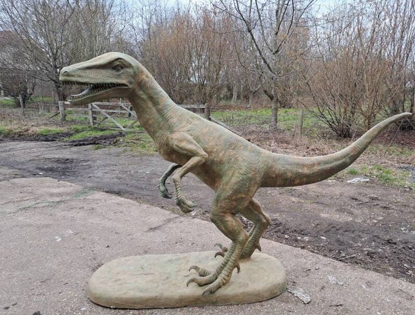 Velociraptor