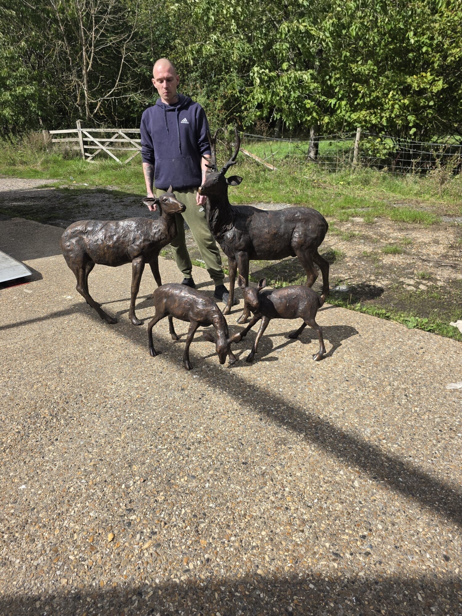 Family of deer