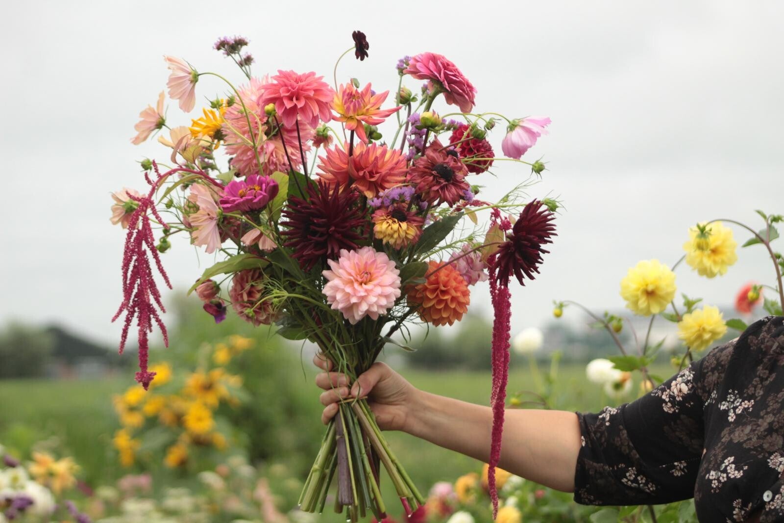 Bloemen abonnement 'Mooi Geplukt' (12 weken)