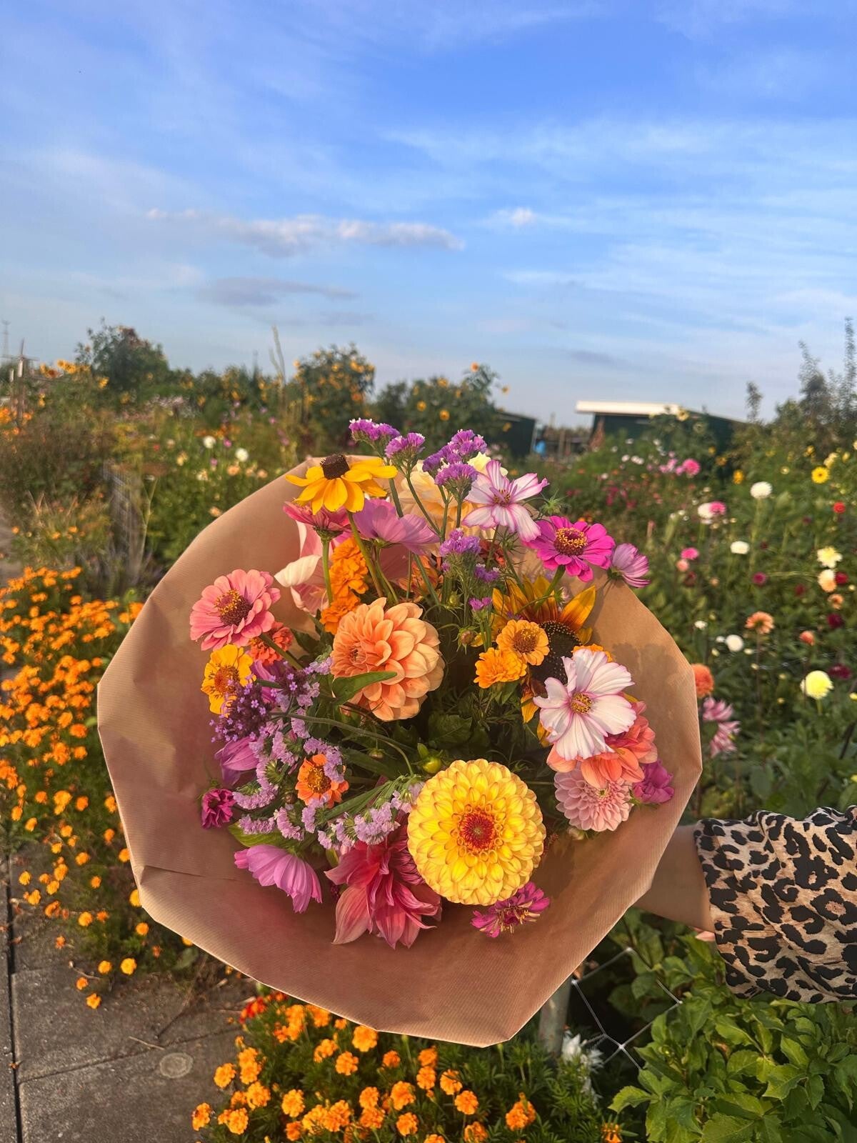 MOEDERDAGSPECIAL MEDIUM bloem abonnement 'Mooi Geplukt' (6 weken)